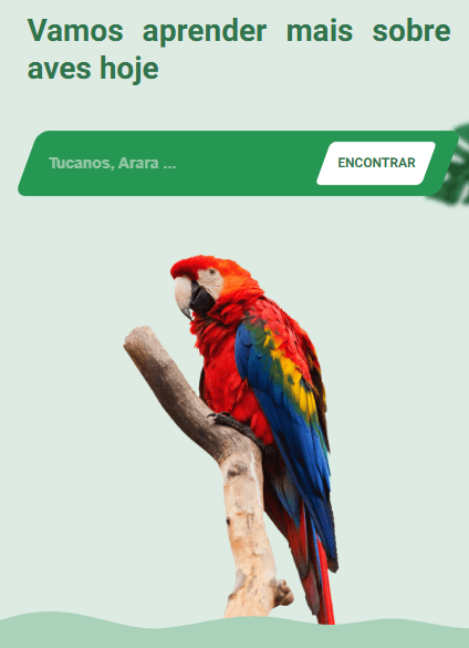 projeto aves